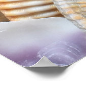 Poster Sea Shells Stones Coral Arrière - plan (Coin)