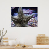 Poster Sea Star (Cuisine)