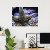 Poster Sea Star (Bureau à domicile)