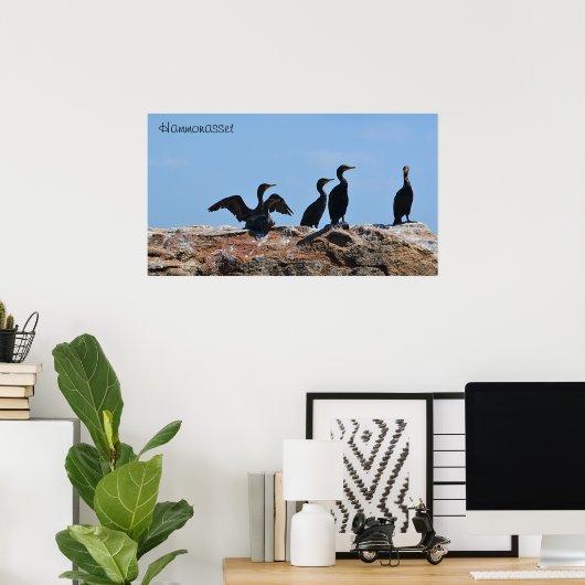 Poster Seabird (Bureau à domicile)