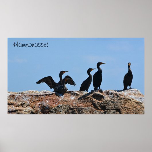 Poster Seabird (Devant)