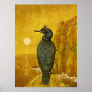 Poster Seabird Et Seasal Imprimer