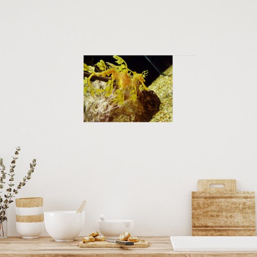 Poster seadragon (Cuisine)