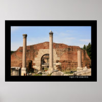 Seagull à l'affiche du Forum