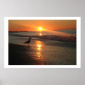Poster Seagull at Sunrise - Framed Print (Devant)
