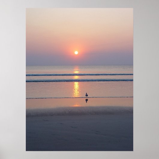 Poster Seagull Daytona Beach FL Ocean Sunrise (Devant)