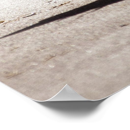 Poster Seagull on Virginia Beach (Coin)