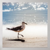 Poster Seagull on Virginia Beach (Devant)