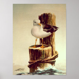 Poster SEAGULL & PILINGS 2 by SHARON SHARPE