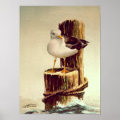 Poster SEAGULL & PILINGS 2 par SHARON SHARPE (Devant)