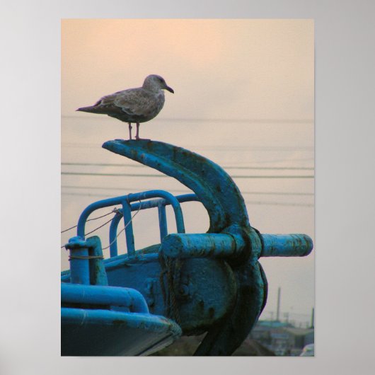 Poster Seagull Repose Sur L'Ancre Du Navire | Choshi (Devant)