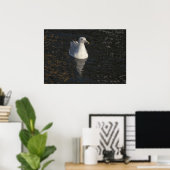 Poster Seagull Swim fine art print (Bureau à domicile)
