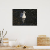Poster Seagull Swim fine art print (Cuisine)