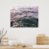 POSTER SEAGULL VOL AU-DESSUS DES VAGUES (Cuisine)