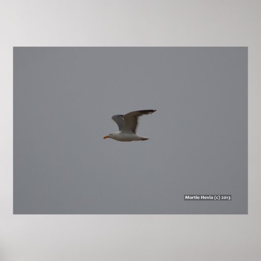 Poster Seagull Wings (Devant)