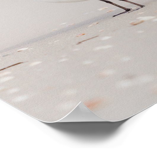 Poster Seagull with Blue Sea and Seashells (Coin)