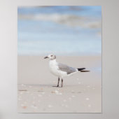 Poster Seagull with Blue Sea and Seashells (Devant)