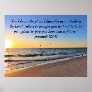 POSTER SEAGULLS ET SUNRISE JEREMIAH 29:11 BIBLE VERSE