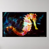 Poster Seahorse (Devant)