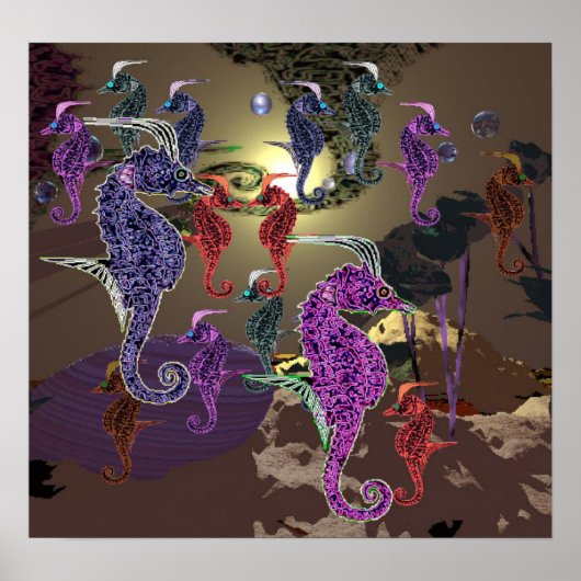 Poster Seahorse (Devant)