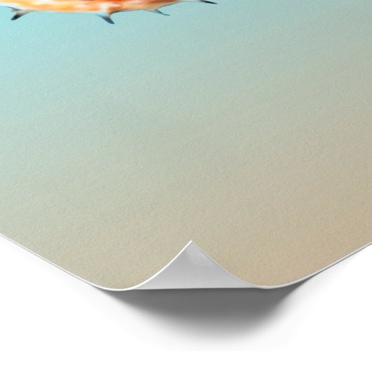 Poster Seahorses Courting (Coin)