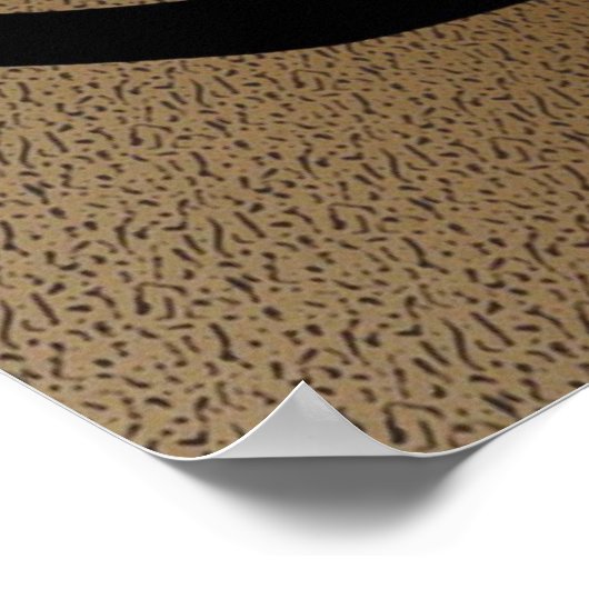 Poster Seal Point Siamese Chat (Coin)