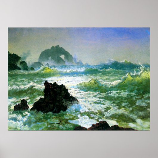 Poster Seal Rock 2 par Bierstadt (Devant)