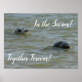 Poster Seals In the Swim