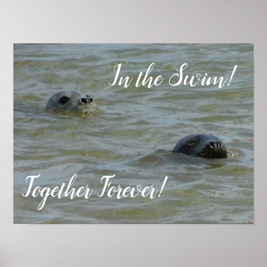 Poster Seals In the Swim (Devant)