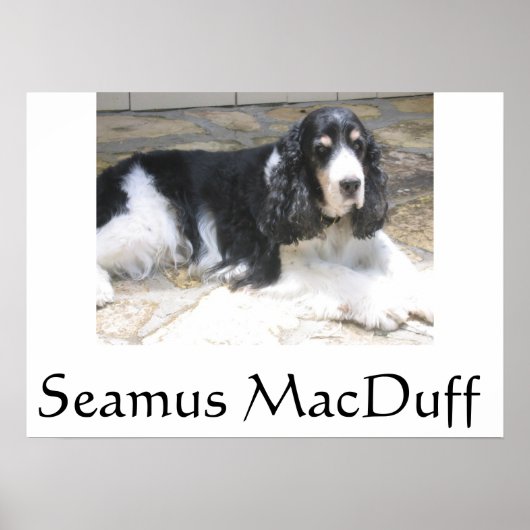 Poster Seamus MacDuff (Devant)