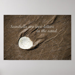 Poster Seashell