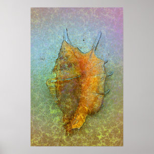 Poster SEASHELL