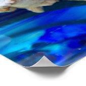 Poster Seashell (Coin)