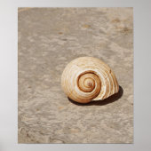 Poster SeaShell (Devant)