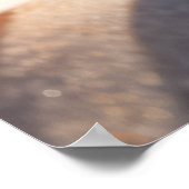 Poster Seashell Beach Nature Tranquille (Coin)