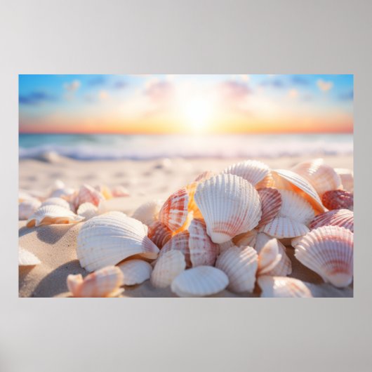 Poster Seashell Beach Nature Tranquille (Devant)