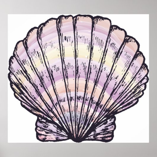 Poster Seashell Illustration (Devant)