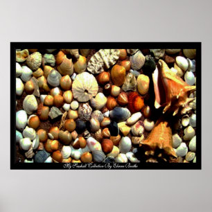 Poster Seashell_ Poster_by Elenne Boothe