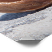 Poster Seashell Saint-Pétersbourg (Coin)