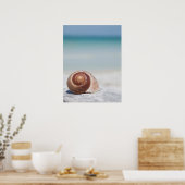 Poster Seashell Saint-Pétersbourg (Cuisine)