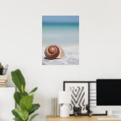 Poster Seashell Saint-Pétersbourg (Bureau à domicile)