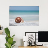 Poster Seashell | Saint-Pétersbourg, Floride (Bureau à domicile)