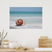 Poster Seashell | Saint-Pétersbourg, Floride (Cuisine)