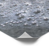 Poster Seashell | Sanibel Island, Floride (Coin)