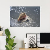 Poster Seashell | Sanibel Island, Floride (Bureau à domicile)