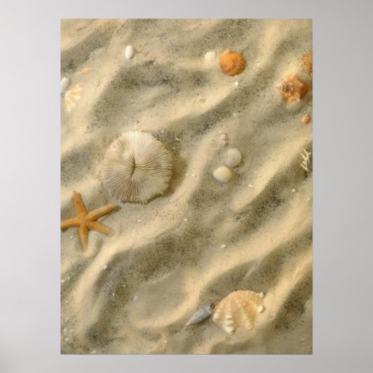 Poster Seashells (Devant)