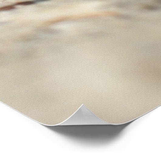 Poster Seashells On Sand By the Sea (Coin)