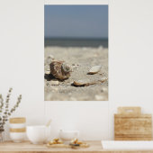 Poster Seashells On Sand By the Sea (Cuisine)