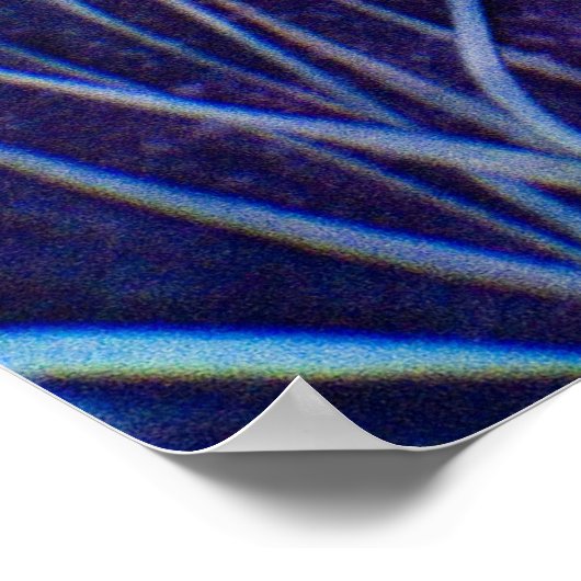 Poster Seasons (Coin)