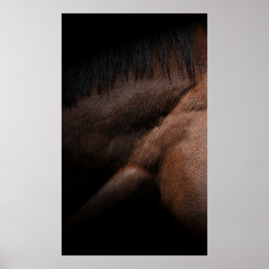 Poster Seattle (Devant)